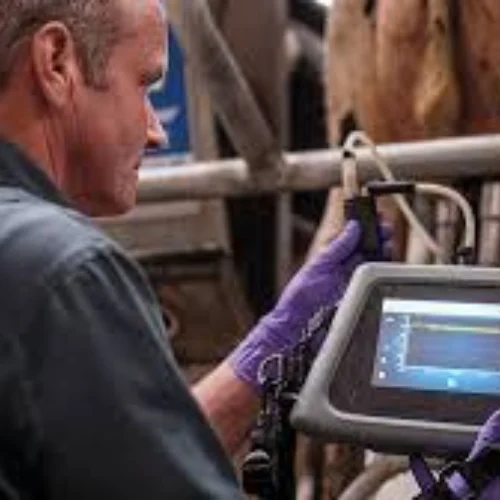 independent parlour testing